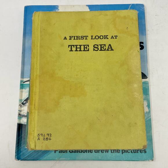 Three Vintage Hardcover Ocean Books Childrens Ex Library Whales Walrus Sea - Picture 3 of 8